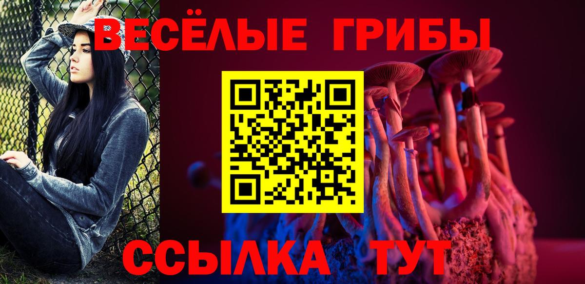 Псилоцибиновые грибы мицелий Джанкой
